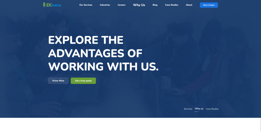 offshore software development partner